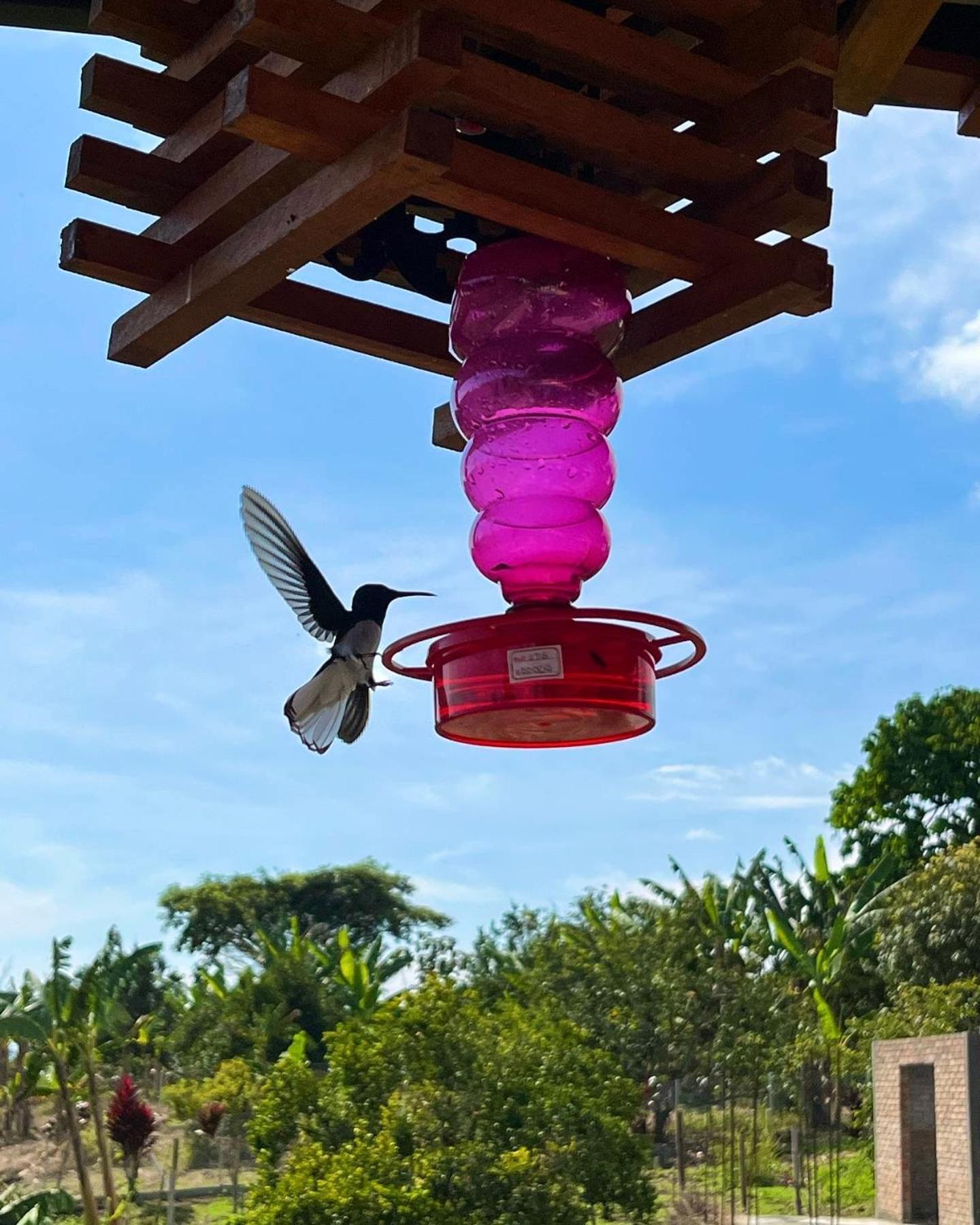 Hotel Casa Campestre Hh Quimbaya Εξωτερικό φωτογραφία